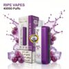 THRIVE 40K